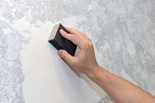 Best Mold Damage Restoration  in Estelle, LA