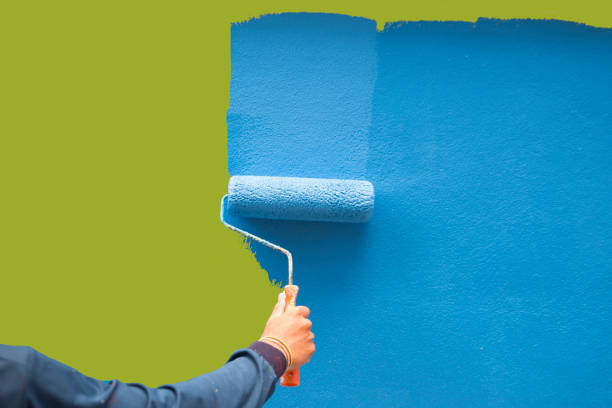 Professional Mold Removal in Estelle, LA