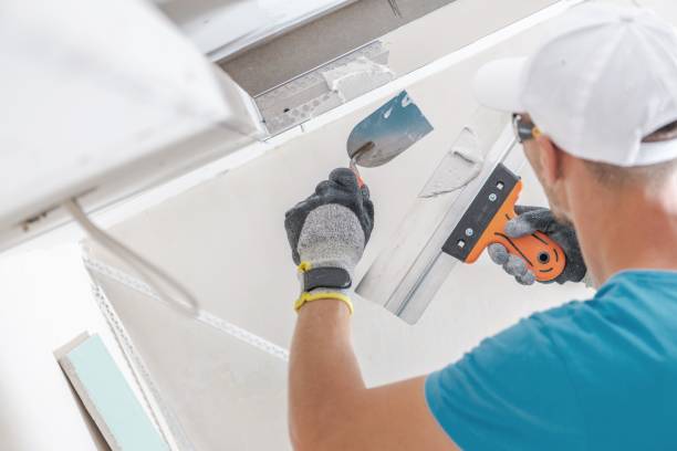 Best Basement Mold Removal  in Estelle, LA